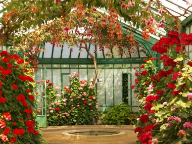 Yeşil çeşme paraları park royal Gardens