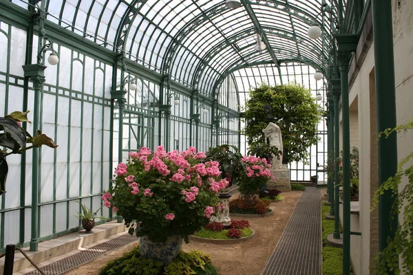 Laeken kungliga växthusen — Stockfoto