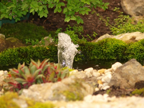 Mini-Park im Gebäude königliche Gewächshäuser in Brüssel — Stockfoto