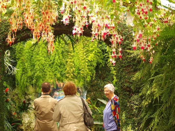 Spaziergang durch die Flure königlicher Gewächshäuser in Brüssel — Stockfoto