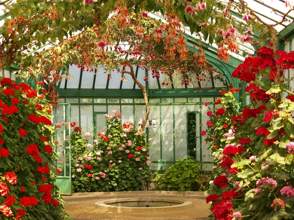 Monete verdi fontana nel parco Giardini Reali Immagine Stock