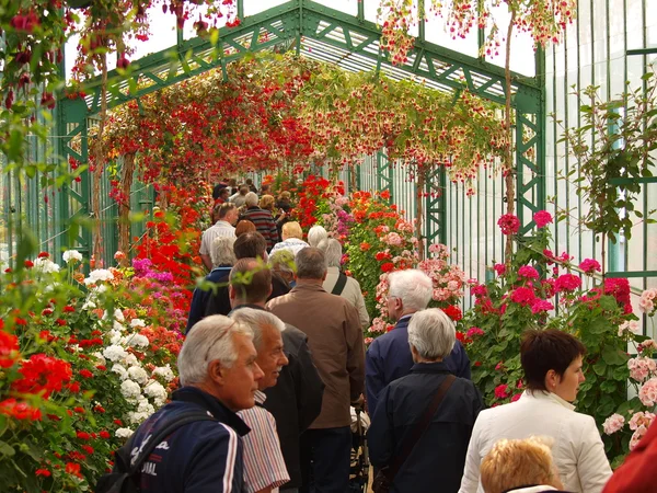 Wandelen in de wandelgangen van de Koninklijke Serres in Brussel — Stockfoto