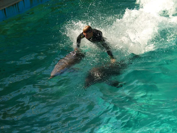 iki yunus sıçramasına çok oluşturan dalgalar binmek