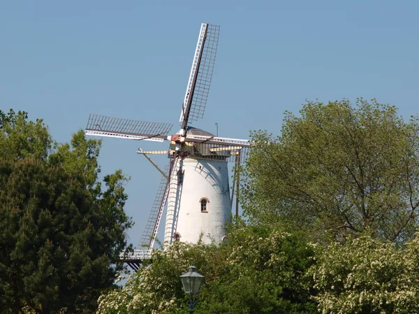 Windmühle, — Stockfoto