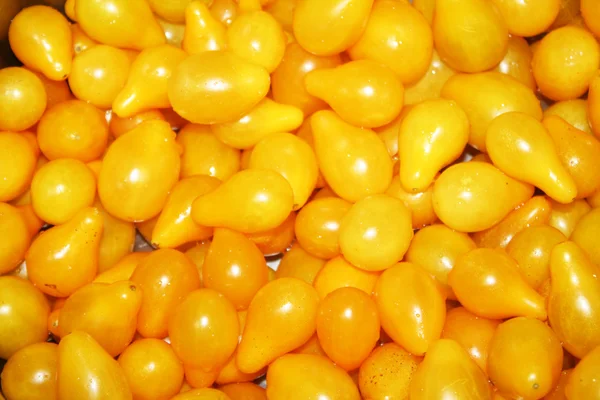 Tomates amarelos — Fotografia de Stock