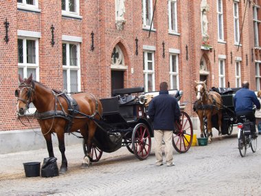 bruges içinde at arabası