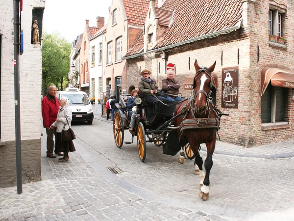 Transport de chevaux à Bruges — Photo