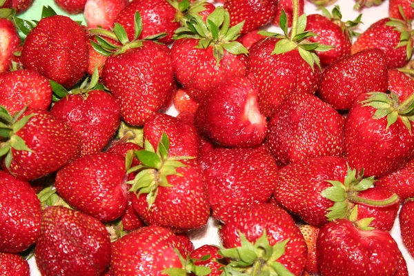 Olgun kırmızı çilek yakından