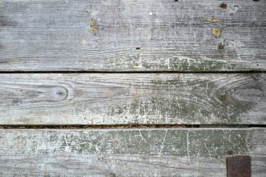 Yönetim Kurulu eski gri