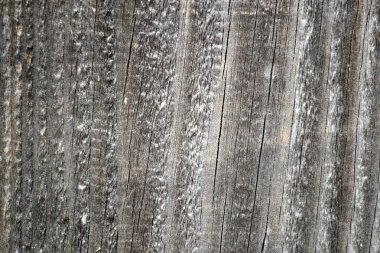 Yönetim Kurulu eski gri