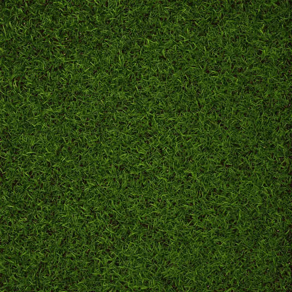 Green grass — Stock Photo, Image