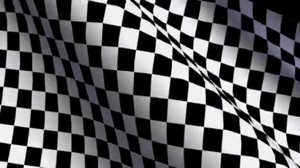 Flag chequered — Wideo stockowe