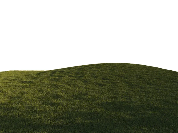 Green grass — Stock Photo, Image