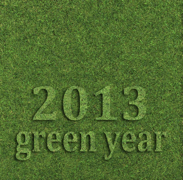 Anno verde 2013 — Foto Stock