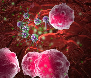 mikro organizam bulut