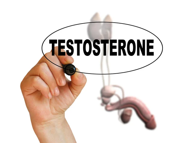 Testosteron