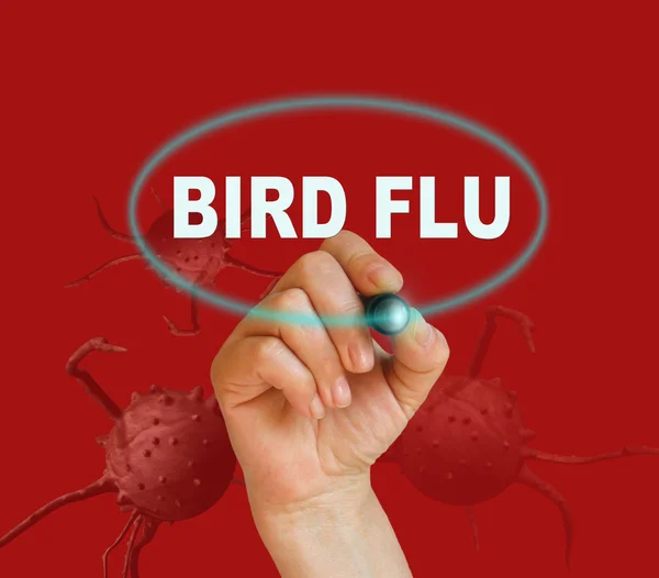 BIRD FLU — Stock Photo, Image