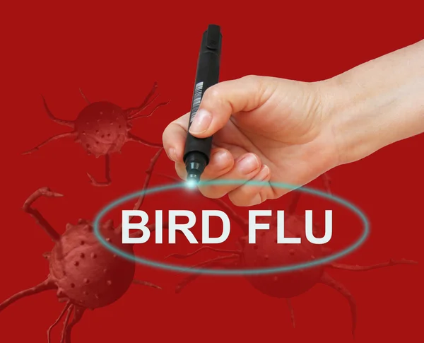 Gripe aviar —  Fotos de Stock