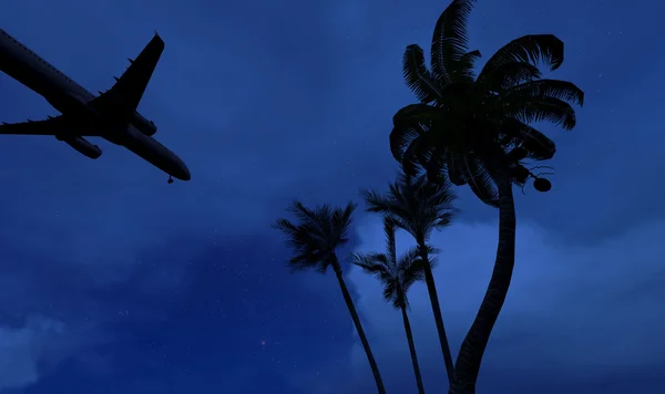 Passagiersvliegtuig passeren over palmbomen — Stockfoto