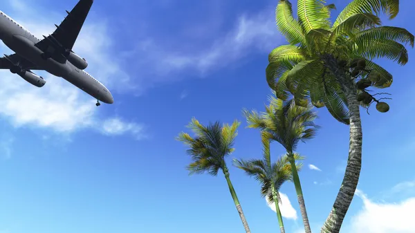 Airliner passing over palm trees — Stock Photo, Image