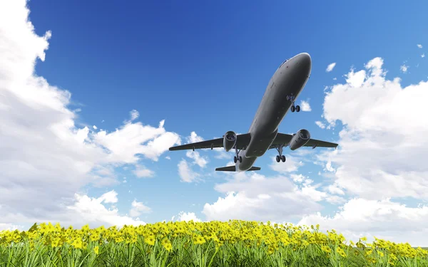 Airliner passing over flowers — Stock Photo, Image