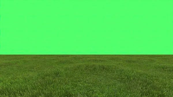 3Dイラスト 背景の緑の画面上の緑のフィールド — ストック写真