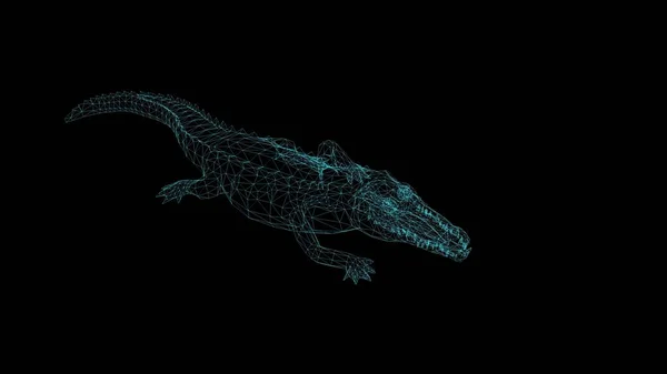 Ilustração Wireframe Crocodilo Sobre Fundo Preto — Fotografia de Stock