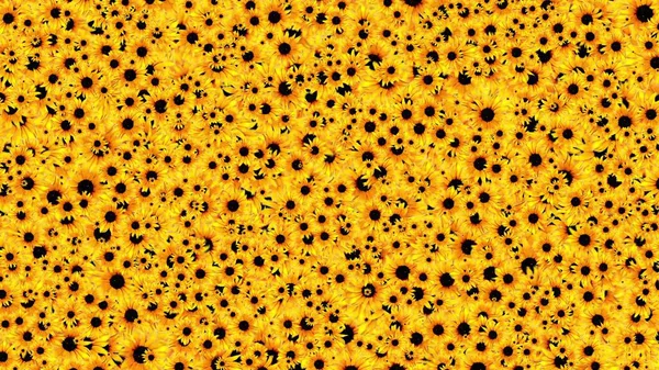 Illustrazione Modello Sfondo Girasoli — Foto Stock