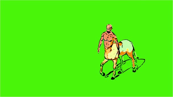 Animation Comic Style Male Centaur Half Horse Half Man Isolated — Stock Video