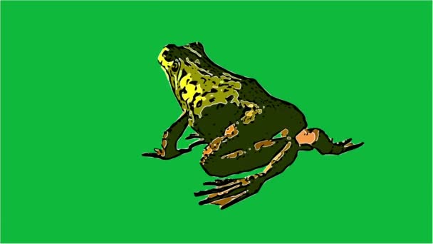 Animation Comic Style Frog Eat Walk Jump — Stock Video