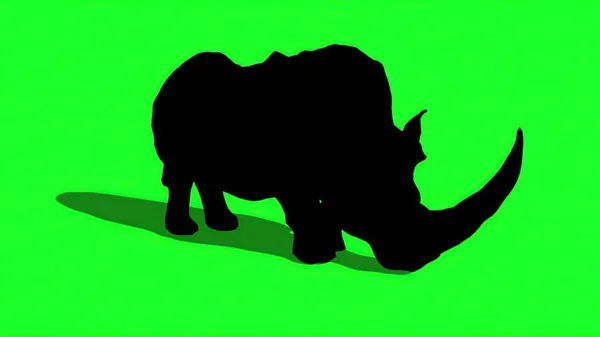 3D插图 绿屏上犀牛的轮廓 — 图库照片