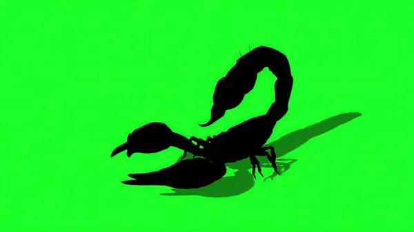 Illustrazione Silhouette Dello Scorpione Della Foresta Una Postura Aggressiva — Foto Stock