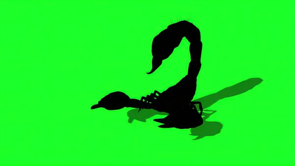 Illustrazione Silhouette Dello Scorpione Della Foresta Una Postura Aggressiva — Foto Stock