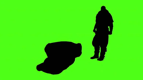 Illustration Silhouettes Personnes Confrontation Physique Sur Écran Vert — Photo