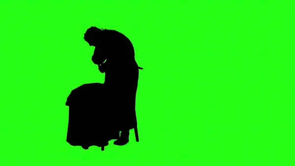 Illustration Silhouettes People Hugging Green Screen — Stock Photo, Image