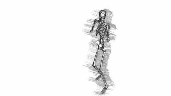 Ilustración Boxeo Esqueleto Separado Pantalla Blanca — Foto de Stock