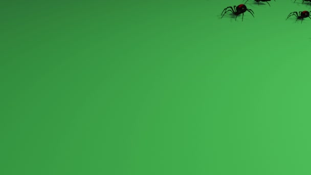 动画蜘蛛在绿色屏幕上令人毛骨悚然的爬行 — 图库视频影像