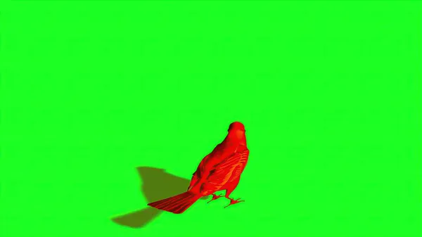 Illüstrasyon Kuş Serçesi Yeşil Ekranda Boş Uçuyor — Stok fotoğraf