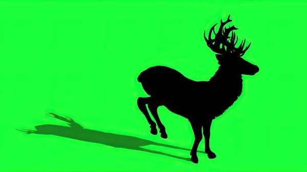 3Dイラスト 緑の画面上の鹿のシルエット — ストック写真