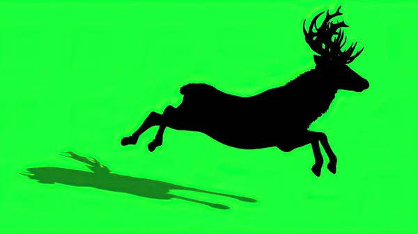 Illustration Silhouette Deer Green Screen — Stock Photo, Image