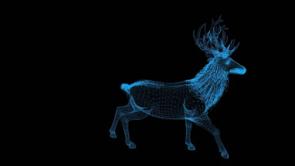 3Dイラスト 黒い背景の鹿のワイヤーフレーム — ストック写真