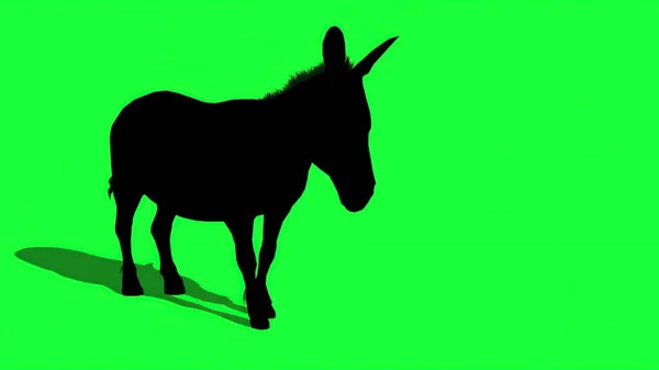 Illustration Silhouette Des Esels Auf Grünem Bildschirm — Stockfoto