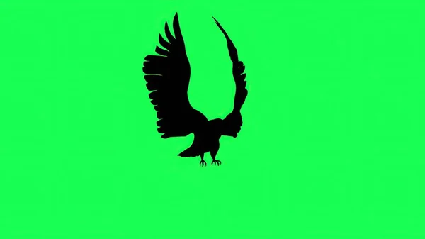 Illustration Siluett Falcon Gliding Och Flapping Isolerad Grön Skärm — Stockfoto
