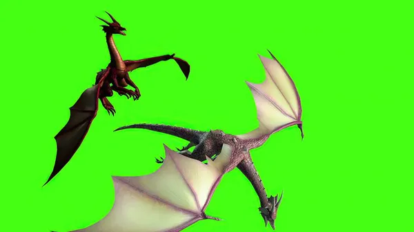 Ілюстрація Дракони Льоту Зеленому Екрані — стокове фото