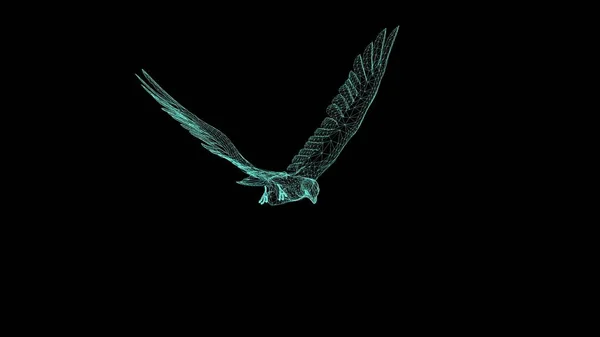 Illustratie Draad Frame Van Falcon Glijden Fladderen Zwarte Achtergrond — Stockfoto