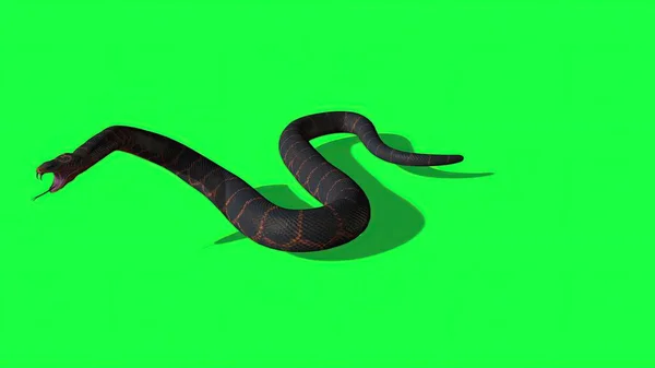 Illustration Python Snake Green Screen Background — 스톡 사진