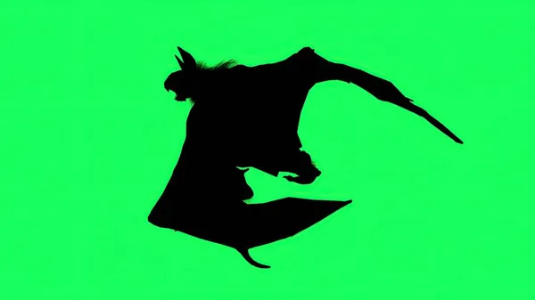Illustration Silhouette Mythical Beast Animal Running Green Screen — Stock Photo, Image