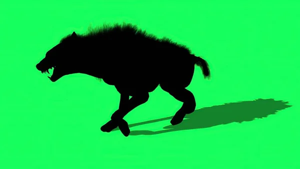 Illustration Siluett Hyena Walk Grön Skärm — Stockfoto