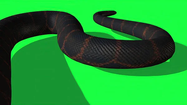 Illustration Python Snake Green Screen Background — Stock Photo, Image