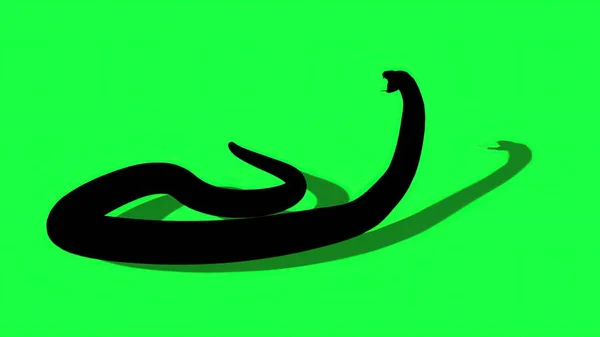 Illusztráció Sziluett Python Kígyó Zöld Képernyő Háttér — Stock Fotó